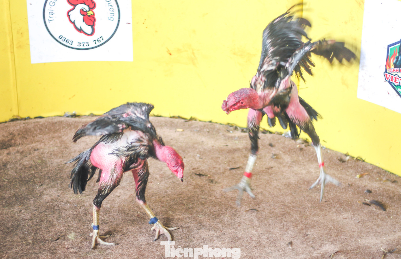 Đòn tấn công. Ảnh: Trương Định.