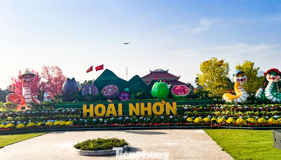 Lấy tên Hoài Nhơn đặt cho các phường mới, bởi phủ Hoài Nhơn đã có từ cách đây 555 năm. Ảnh: Trương Định.