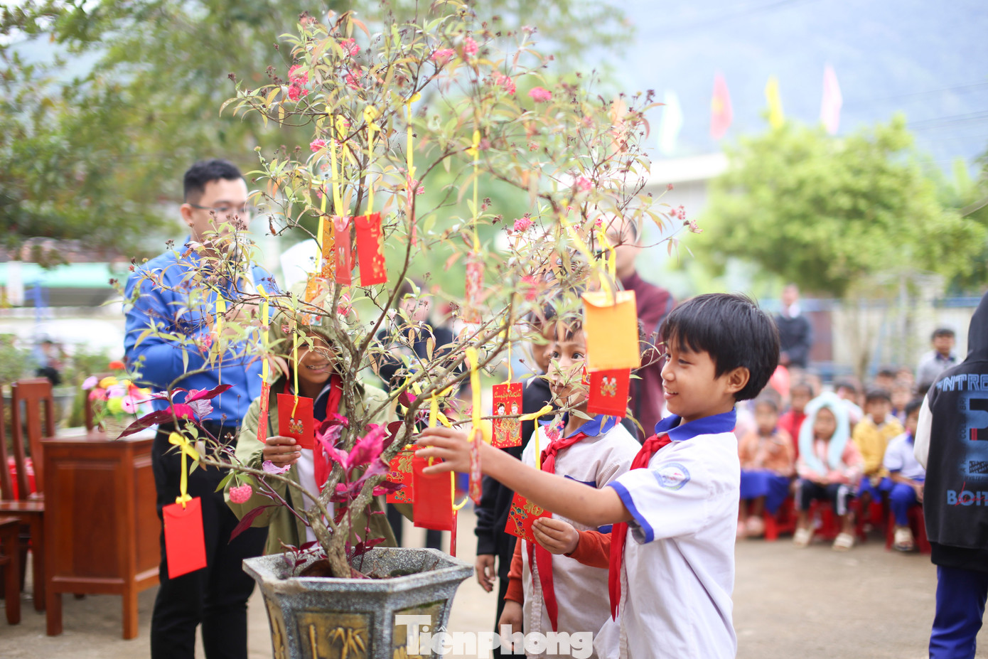 Hái lộc đầu năm. Ảnh: Trương Định