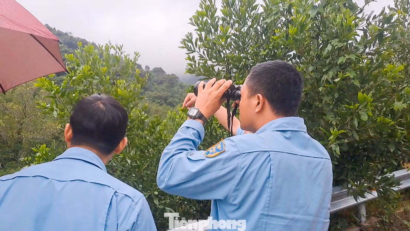 Các lực lượng vẫn đang triển khai tìm kiếm máy bay Iak-130 (số hiệu 210 D). Ảnh: Trương Định