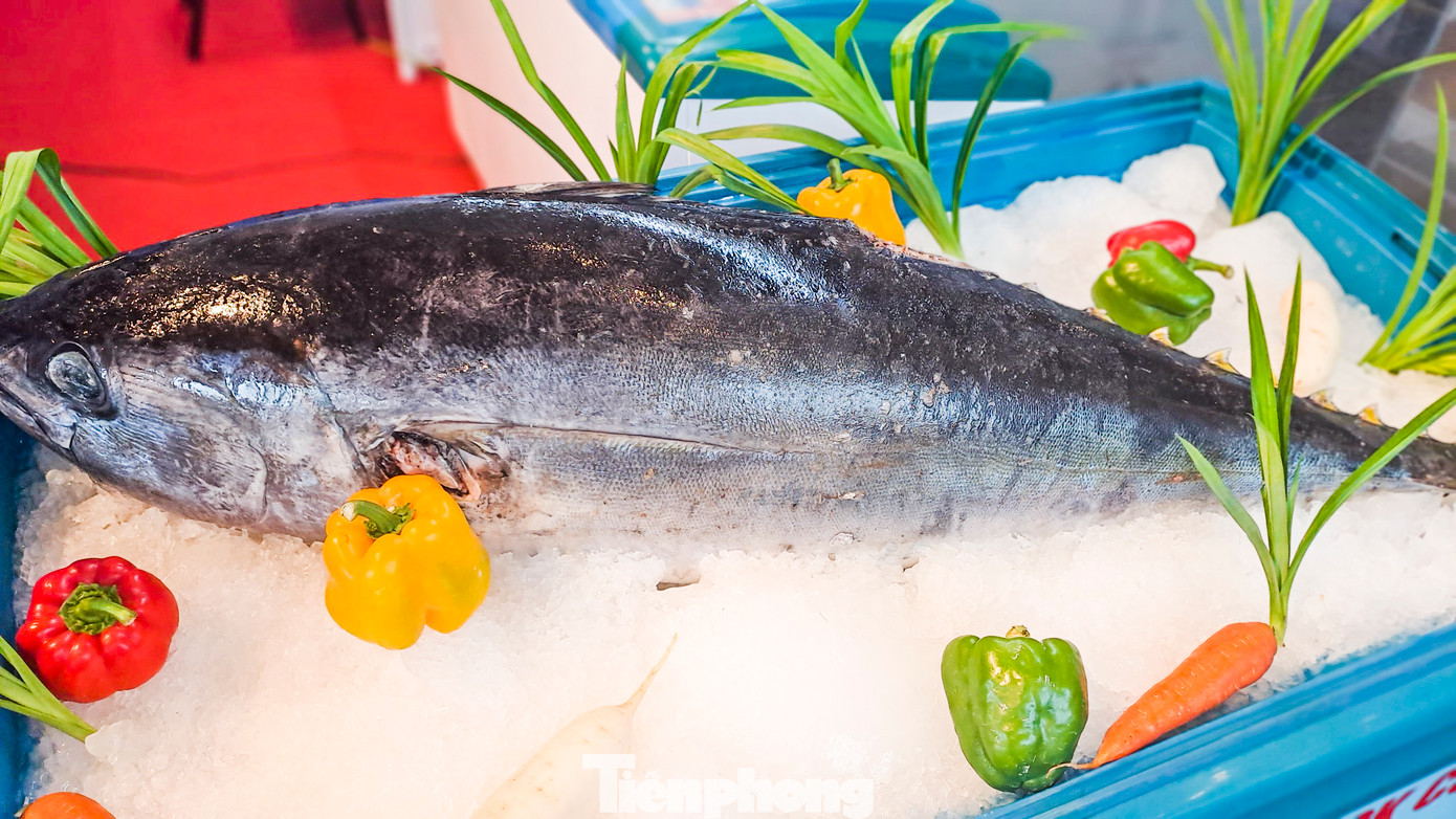 Sản phẩm cá ngừ đại dương của tỉnh Bình Định. Ảnh: Trương Định.