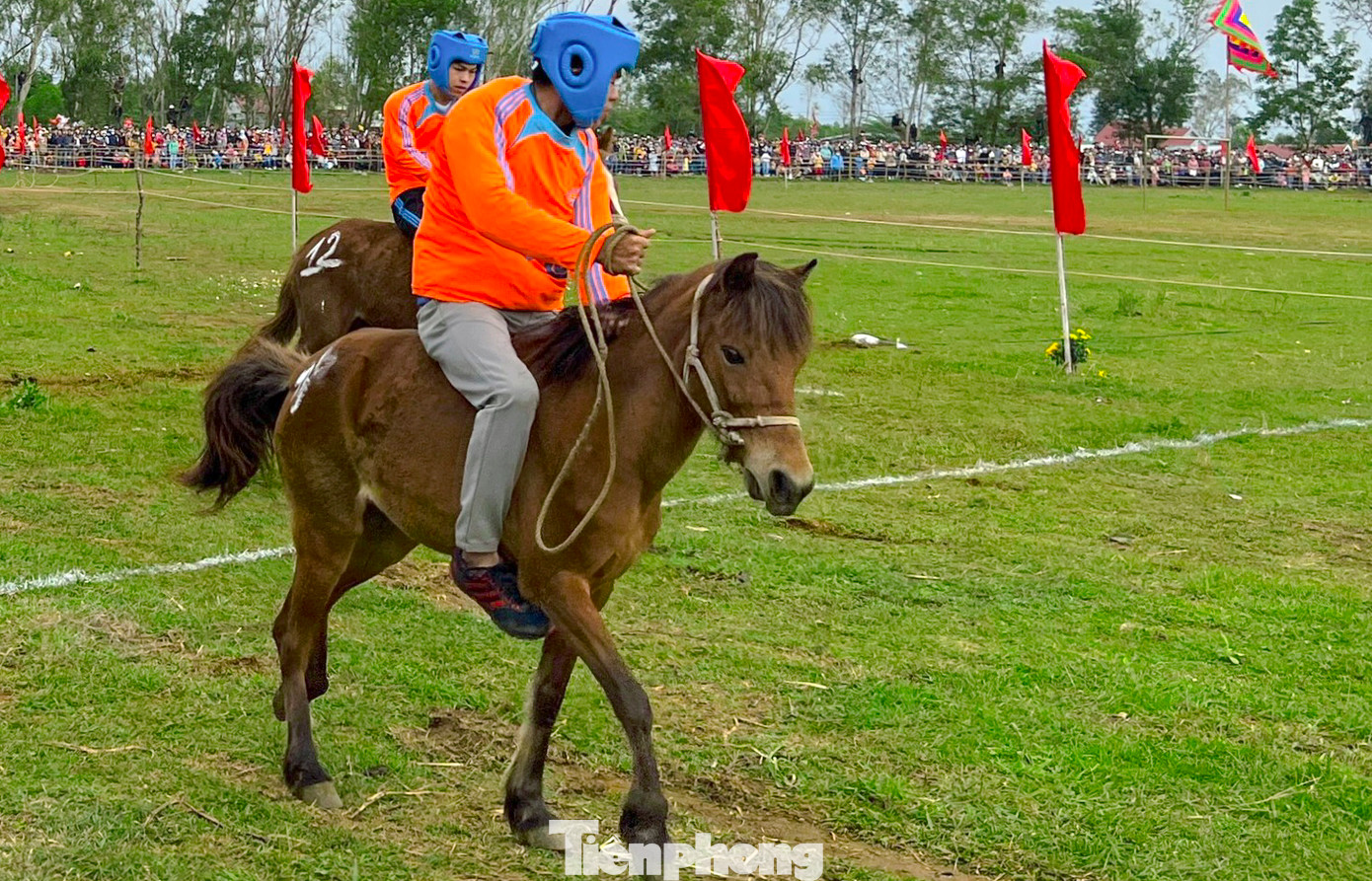 Điều đặc biệt, sinh động của lễ hội đua ngựa Gò Thì Thùng, đó là các chú ngựa đua phần lớn là ngựa cái chuyên thồ nông sản, còn kỵ sĩ là những nông dân tại địa phương.