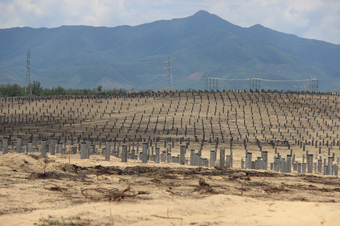 Dự án Nhà máy điện mặt trời Phù Mỹ 3.