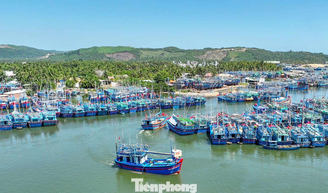 Cảng cá của BQL cảng cá và dịch vụ đô thị thị xã Hoài Nhơn.