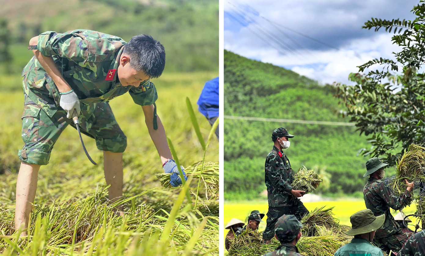 Tuổi trẻ Bình Định phụ giúp người dân ở xã Bok Tới (huyện Hoài Ân) gặt lúa.