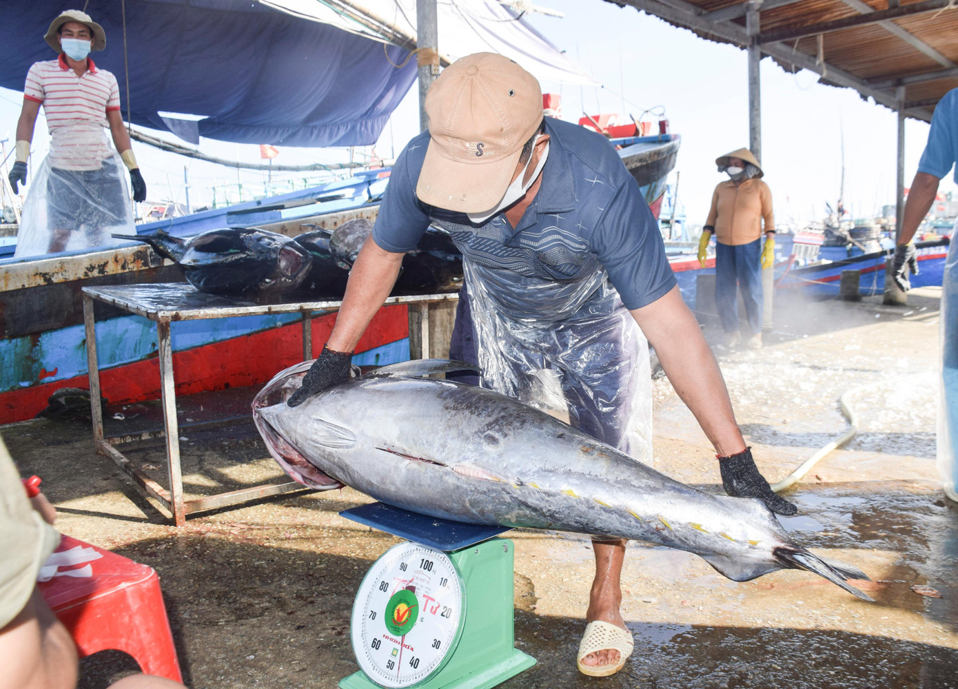 Ngư dân xuống cá, cân bán cho thương lái. Ngư dân xuống cá, cân bán cho thương lái.