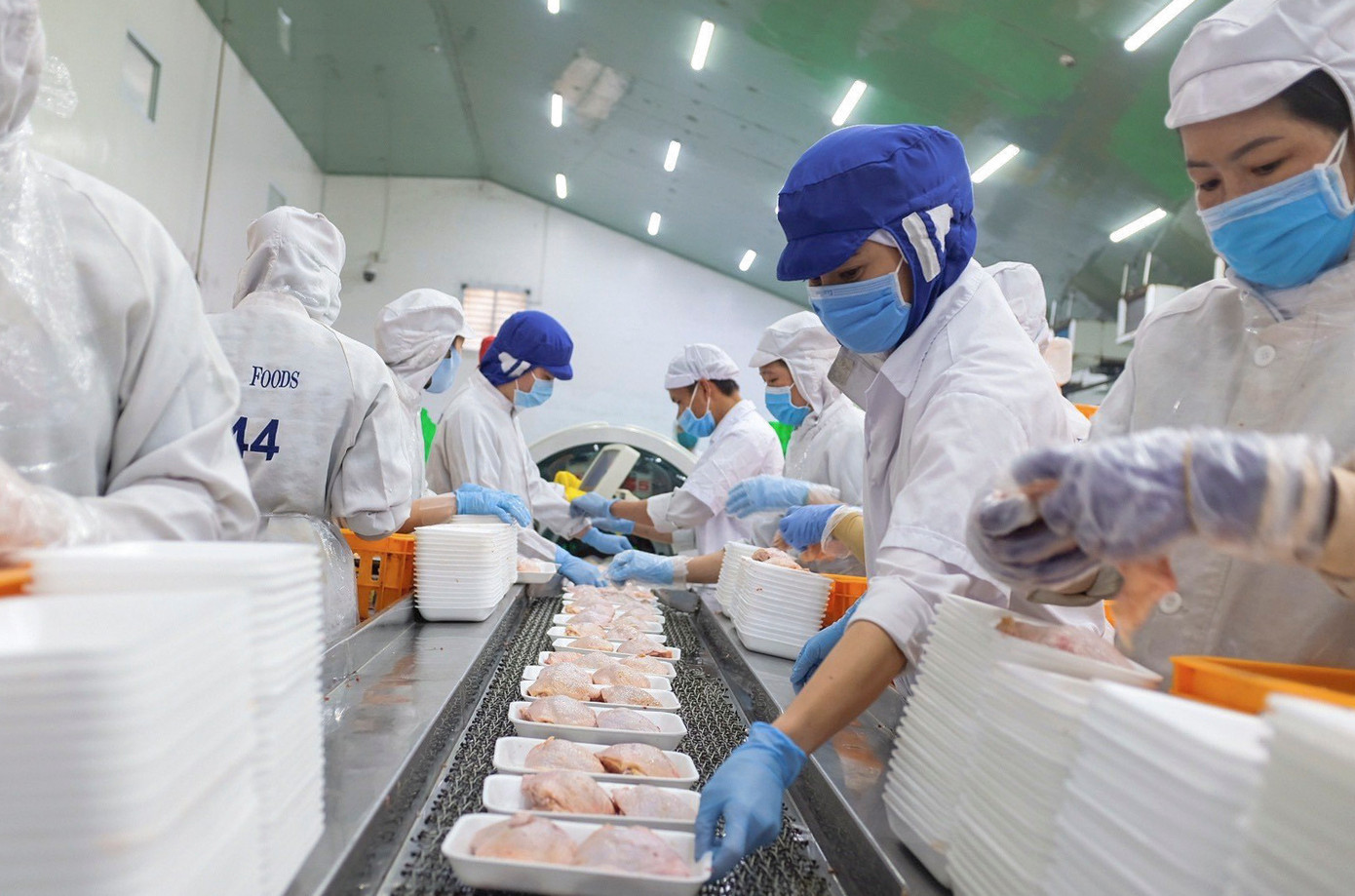 Dự án có quy mô xử lý 40.000 con gia cầm/ngày, 500 con gia súc/ngày, 10 tấn sản phẩm chế biến/ngày.