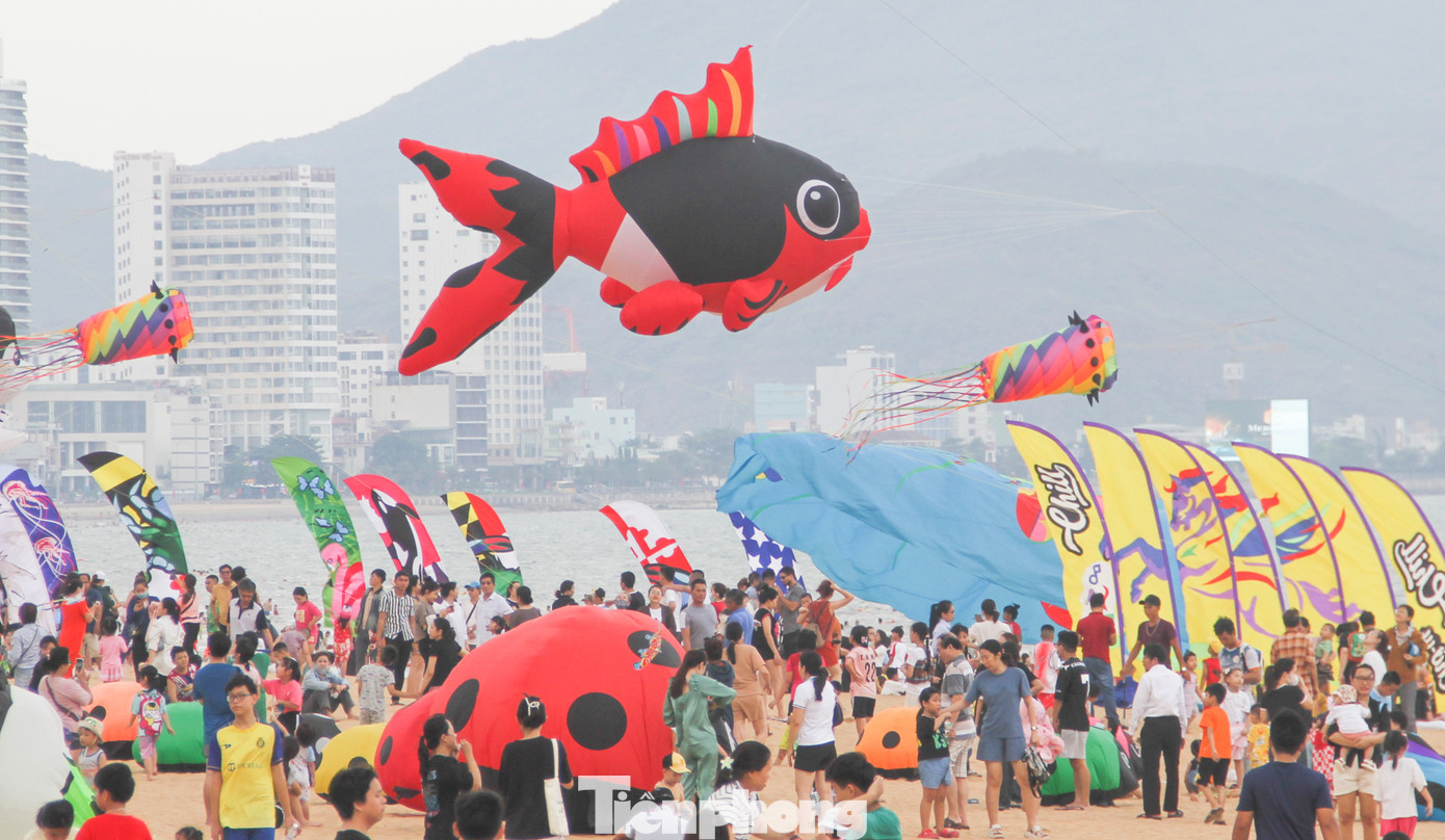 Sự kiện diễn ra tại TP. Quy Nhơn 2 ngày, và 1 ngày tại xã Nhơn Hải, TP. Quy Nhơn. Ảnh: Trương Định. Sự kiện diễn ra tại TP. Quy Nhơn 2 ngày, và 1 ngày tại xã Nhơn Hải, TP. Quy Nhơn. Ảnh: Trương Định.