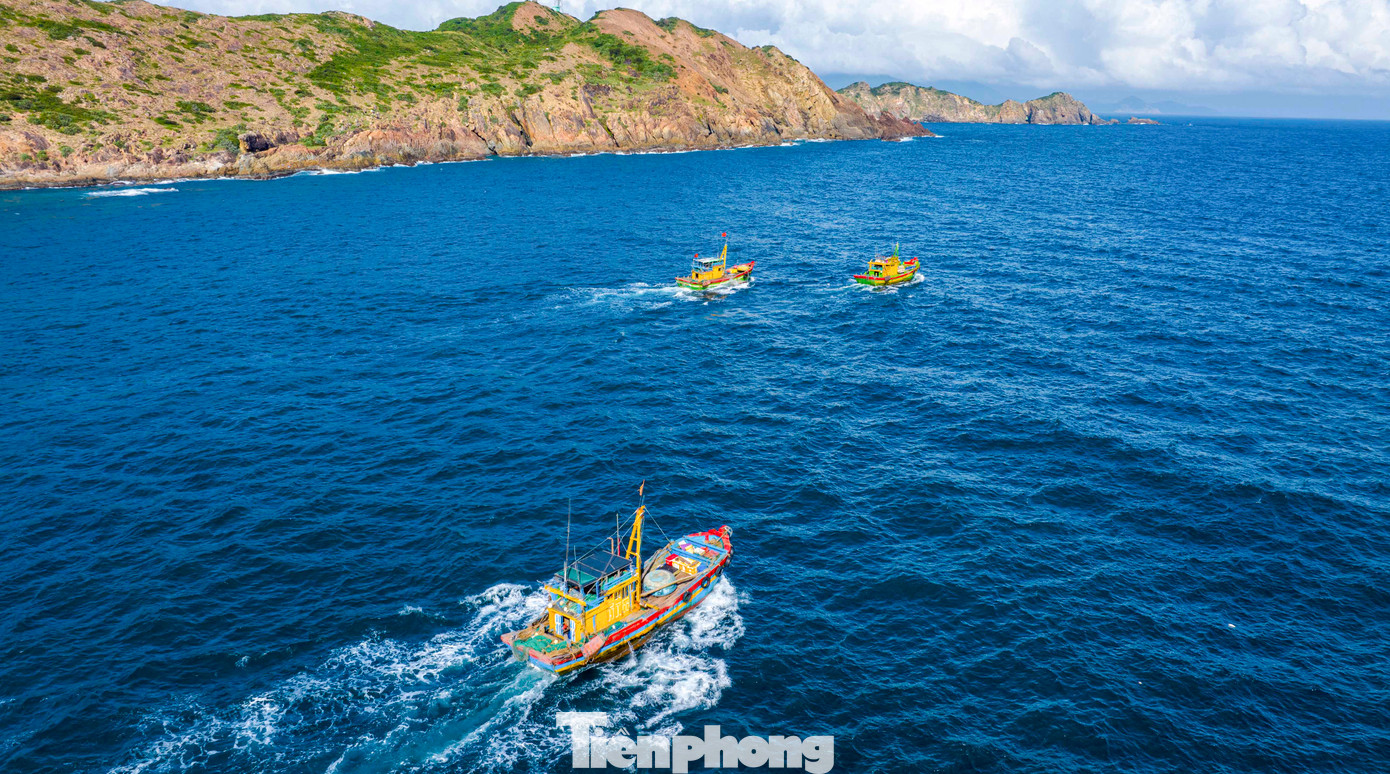 Từng đoàn tàu nối đuôi nhau vươn khơi đánh bắt.