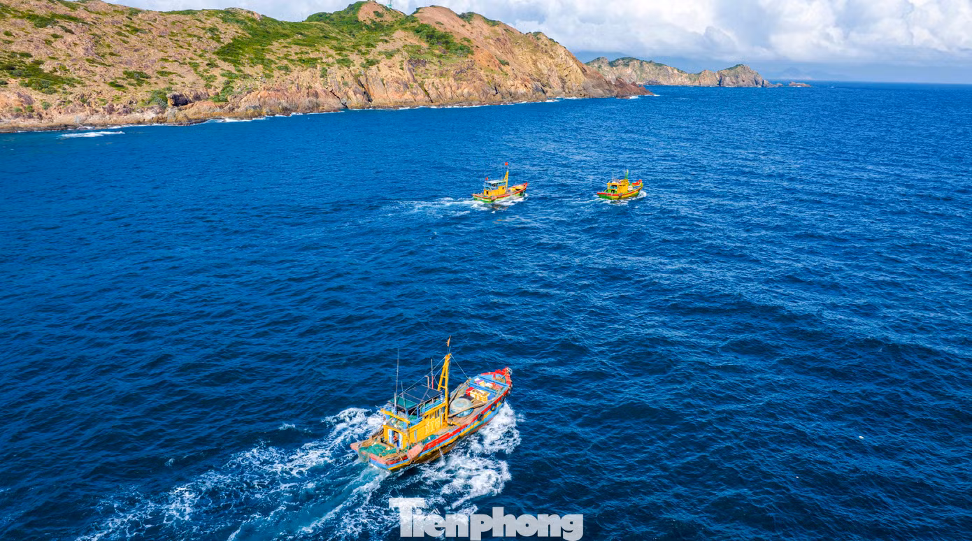 Từng đoàn tàu nối đuôi nhau vươn khơi đánh bắt.