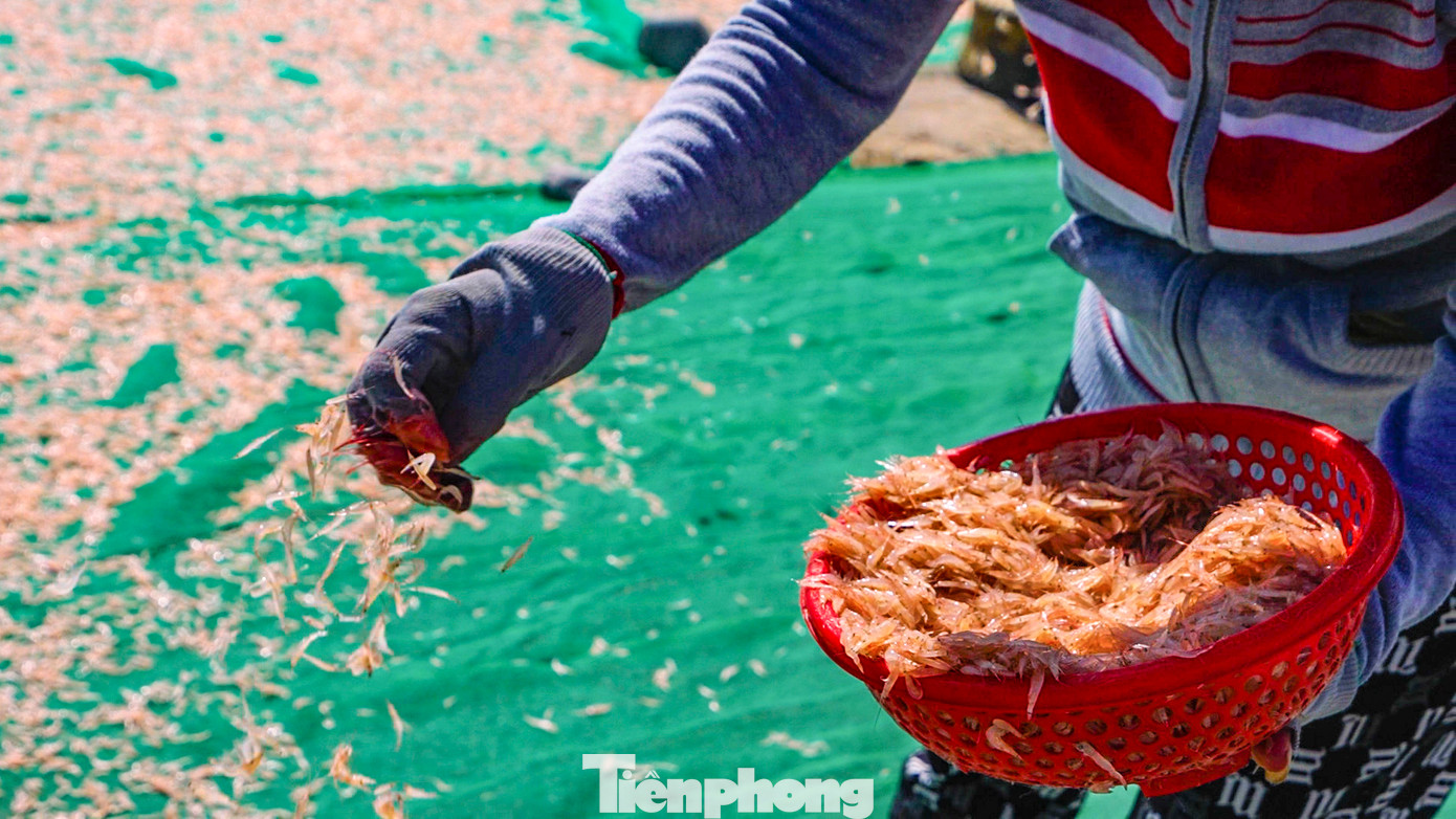 Với thời điểm hiện tại, “lộc biển” những ngày qua giúp người dân có thêm chi phí để trang trải, đặc biệt sắp đến Tết cổ truyền.