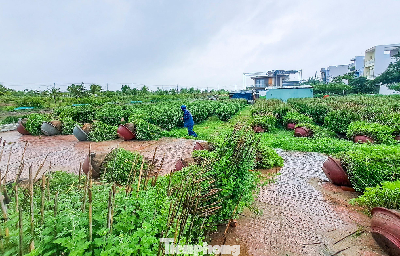 Theo Đài KTTV tỉnh Bình Định dự báo, ngày và đêm 18/12, vùng biển Bình Định (bao gồm xã đảo Nhơn Châu) có mưa rào rải rác và có nơi có dông, gió đông bắc cấp 7, có lúc cấp 8, giật cấp 9. Biển động mạnh. Sóng biển cao 4,0-7,0m. Ảnh: Trương Định Theo Đài KTTV tỉnh Bình Định dự báo, ngày và đêm 18/12, vùng biển Bình Định (bao gồm xã đảo Nhơn Châu) có mưa rào rải rác và có nơi có dông, gió đông bắc cấp 7, có lúc cấp 8, giật cấp 9. Biển động mạnh. Sóng biển cao 4,0-7,0m. Ảnh: Trương Định