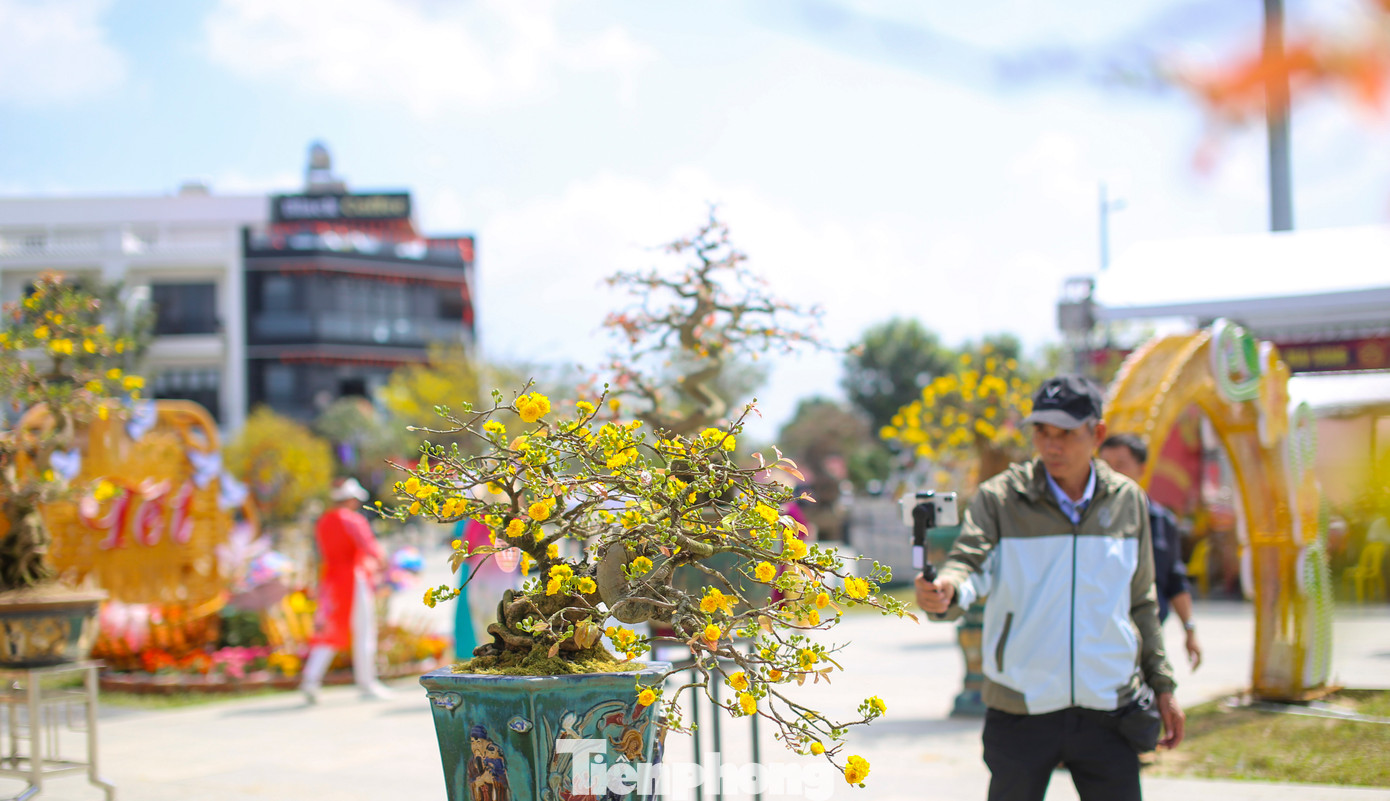 Người dân livestream giới thiệu những tác phẩm mai bonsai. Ảnh: Trương Định