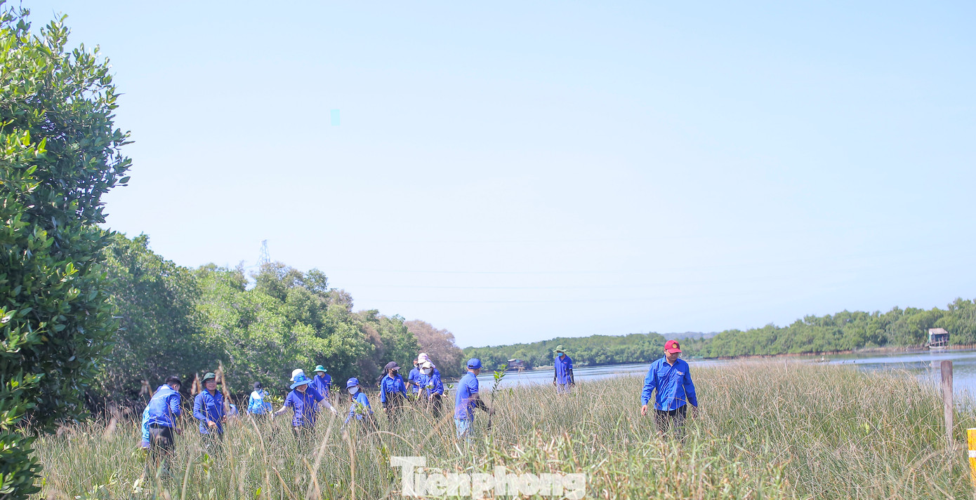 Các bạn ĐVTN triển khai trồng cây tại Cồn Chim. Ảnh: Trương Định