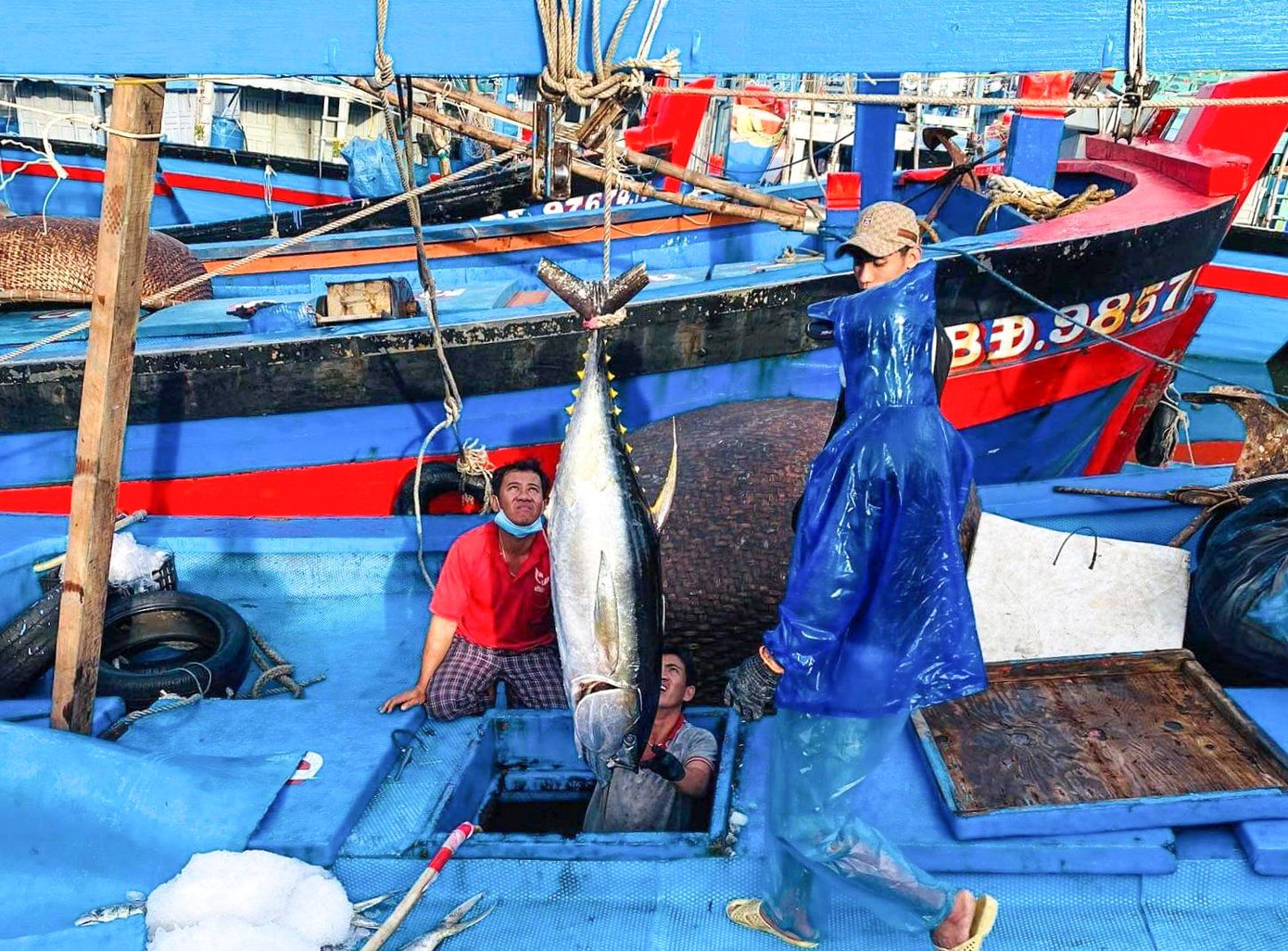 Ngư dân cập cảng để bán cá sau chuyến biển xuyên Tết. Ngư dân cập cảng để bán cá sau chuyến biển xuyên Tết.