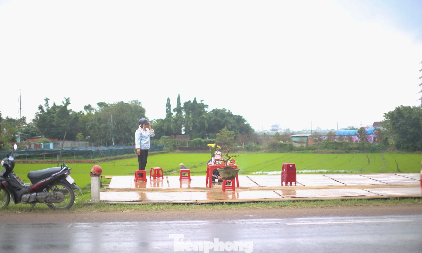 Với những người trồng mai đây là khoảng thời gian "hái quả" sau 1 năm chăm bẵm. Ngay từ đầu tháng, các nhà vườn cũng tranh thủ lựa chọn những vị trí đẹp, thuận tiện để đưa mai lên bày bán, níu chân khách ghé lại tham quan, chọn mua. Ảnh: Trương Định