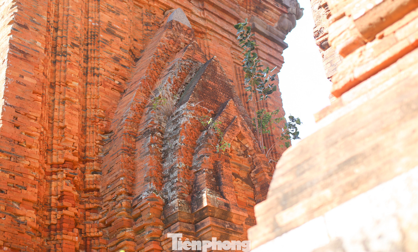 Những hoa văn trên tháp. Ảnh: Trương Định. Những hoa văn trên tháp. Ảnh: Trương Định.