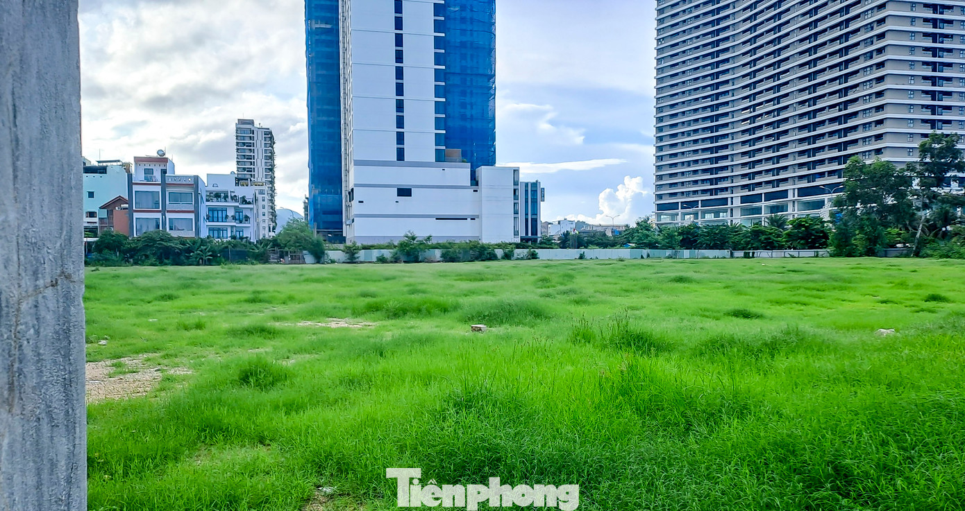 Theo thông báo, tài sản đấu giá là quyền sử dụng đất để thực hiện dự án Xây dựng khu khách sạn tiêu chuẩn 5 sao, văn phòng cho thuê và Trung tâm Thương mại - Dịch vụ, diện tích đất sử dụng là 10.775 m2. (Ảnh: Trương Định).