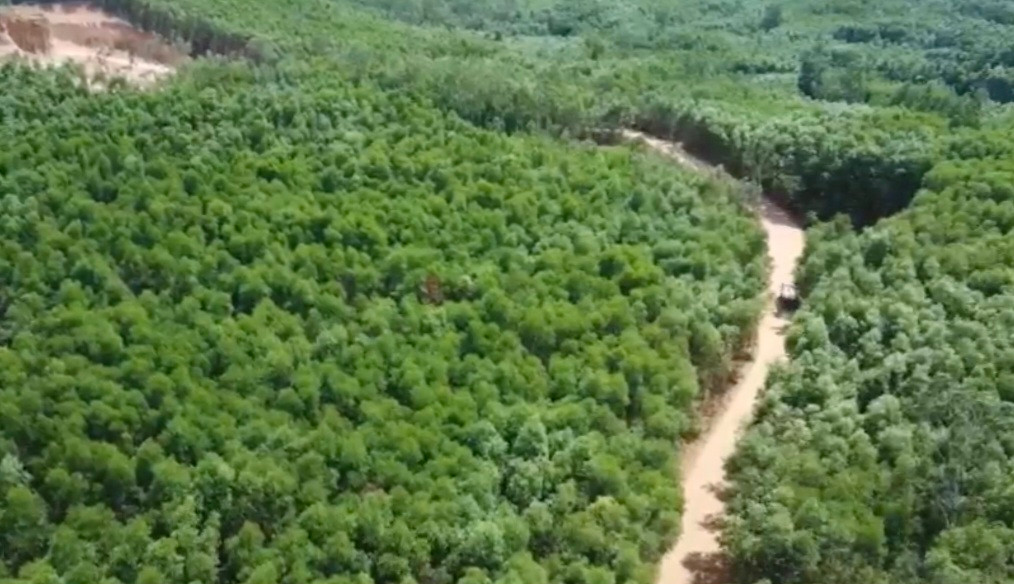 Con đường được mở để dẫn vào khu vực khai thác đất.