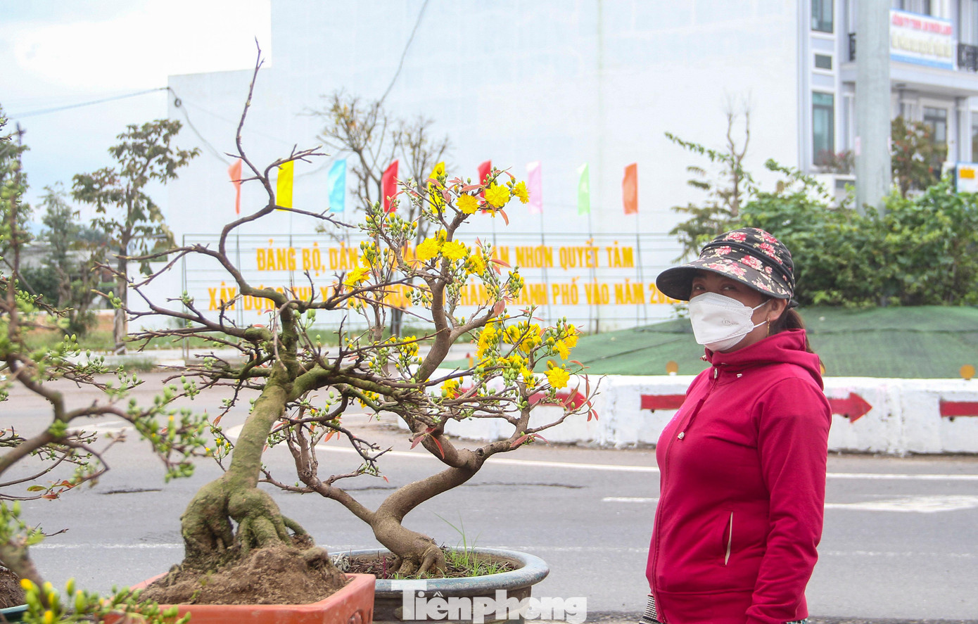 Vắng khách, các chủ vườn ở 'thủ phủ' mai vàng miền Trung rao cây trên mạng xã hội ảnh 3