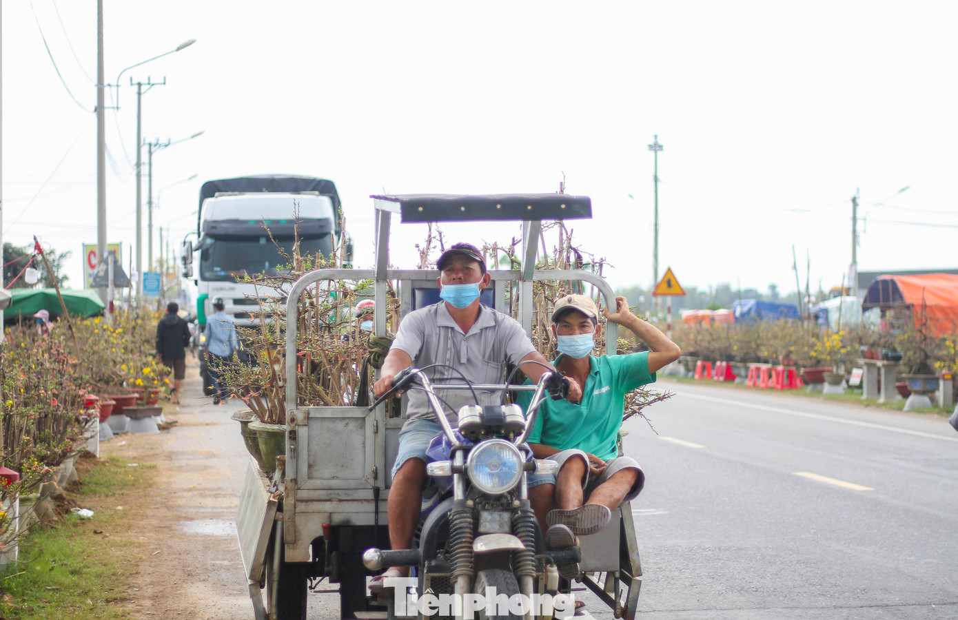 Vắng khách, các chủ vườn ở 'thủ phủ' mai vàng miền Trung rao cây trên mạng xã hội ảnh 10