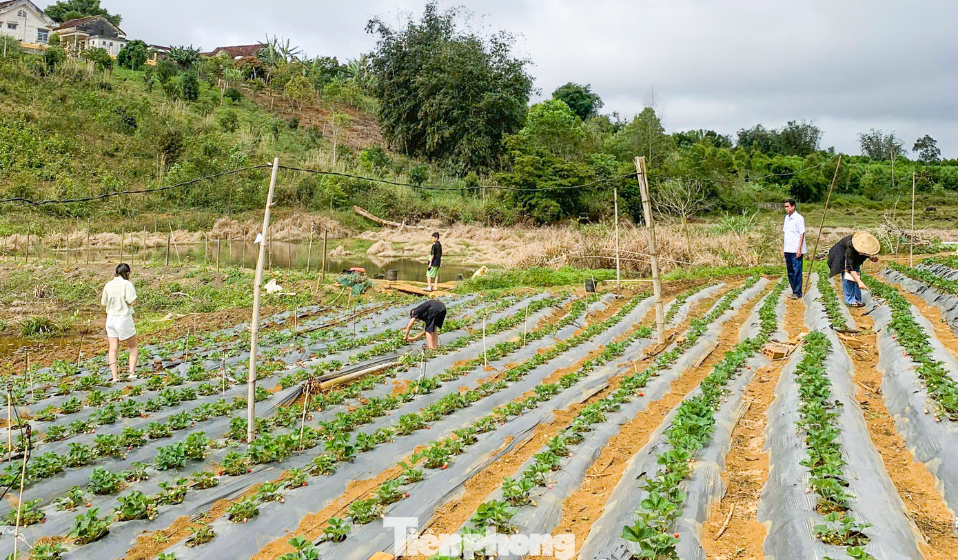 Nắm bắt được thị trường du lịch nông nghiệp xanh đang có xu hướng phát triển mạnh, người dân địa phương đã mạnh dạn khởi nghiệp bằng mô hình nông nghiệp kết hợp du lịch trải nghiệm. Đây được xem là một mô hình mới của xã vùng cao này, bước đầu đã mang lại hiệu quả tích cực.