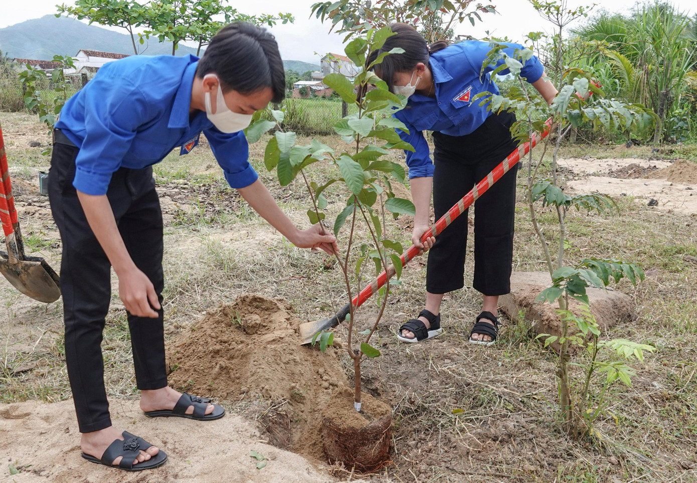 ĐVTN thực hiện công trình “Vườn cây thanh niên” tại trường Tiểu học Bình Tường.