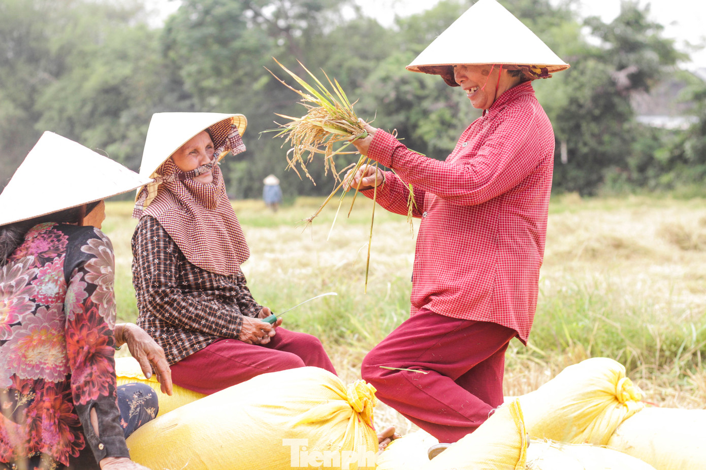 Những người nông dân trò chuyện trong lúc chờ xe tới để đưa lúa về. (Ảnh: Trương Định)