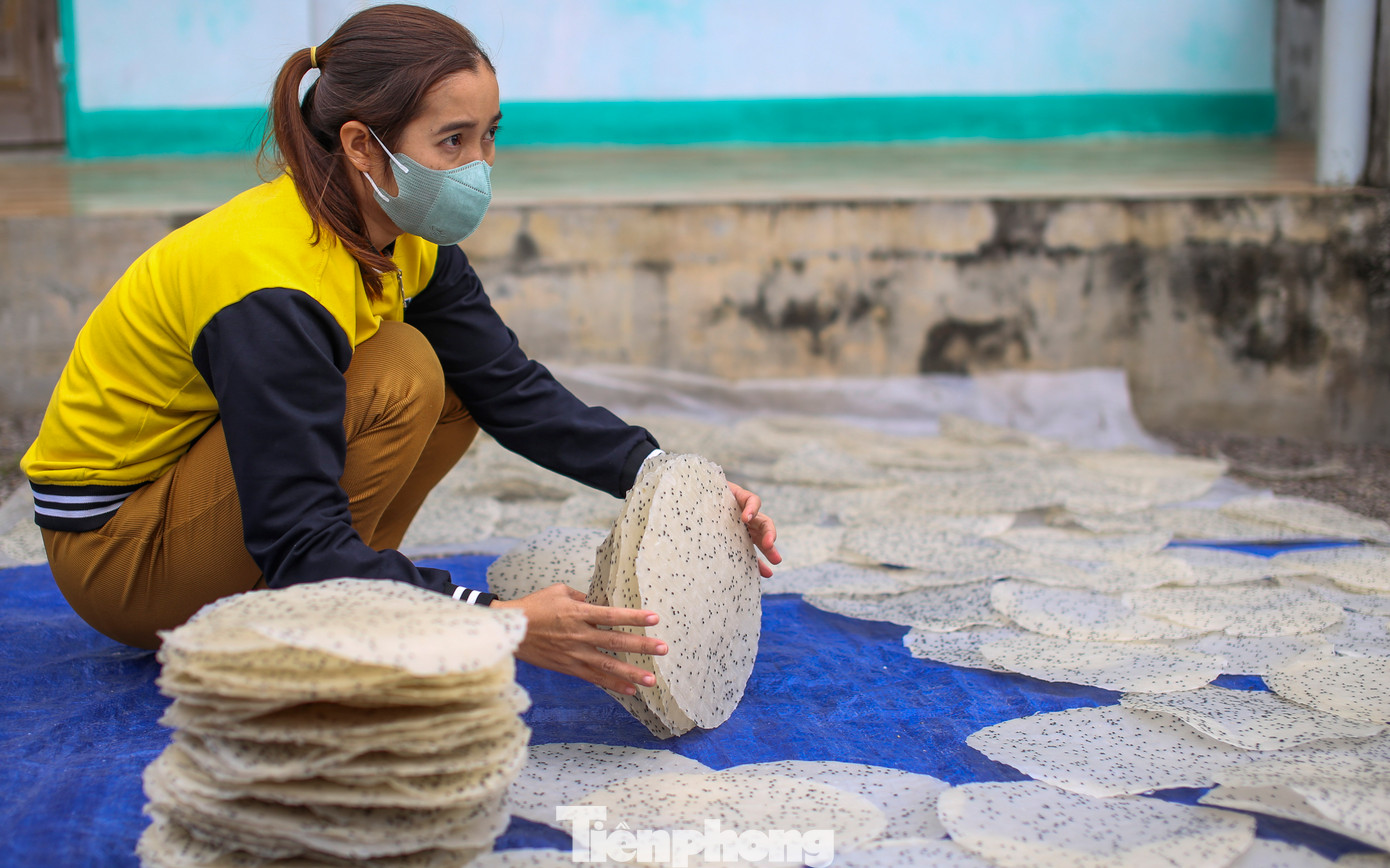 Bánh tráng sau khi được phơi khô sẽ cột thành ràng (xấp), thông thường, mỗi ràng bánh tráng khoảng 20 cái. Ảnh: Trương Định