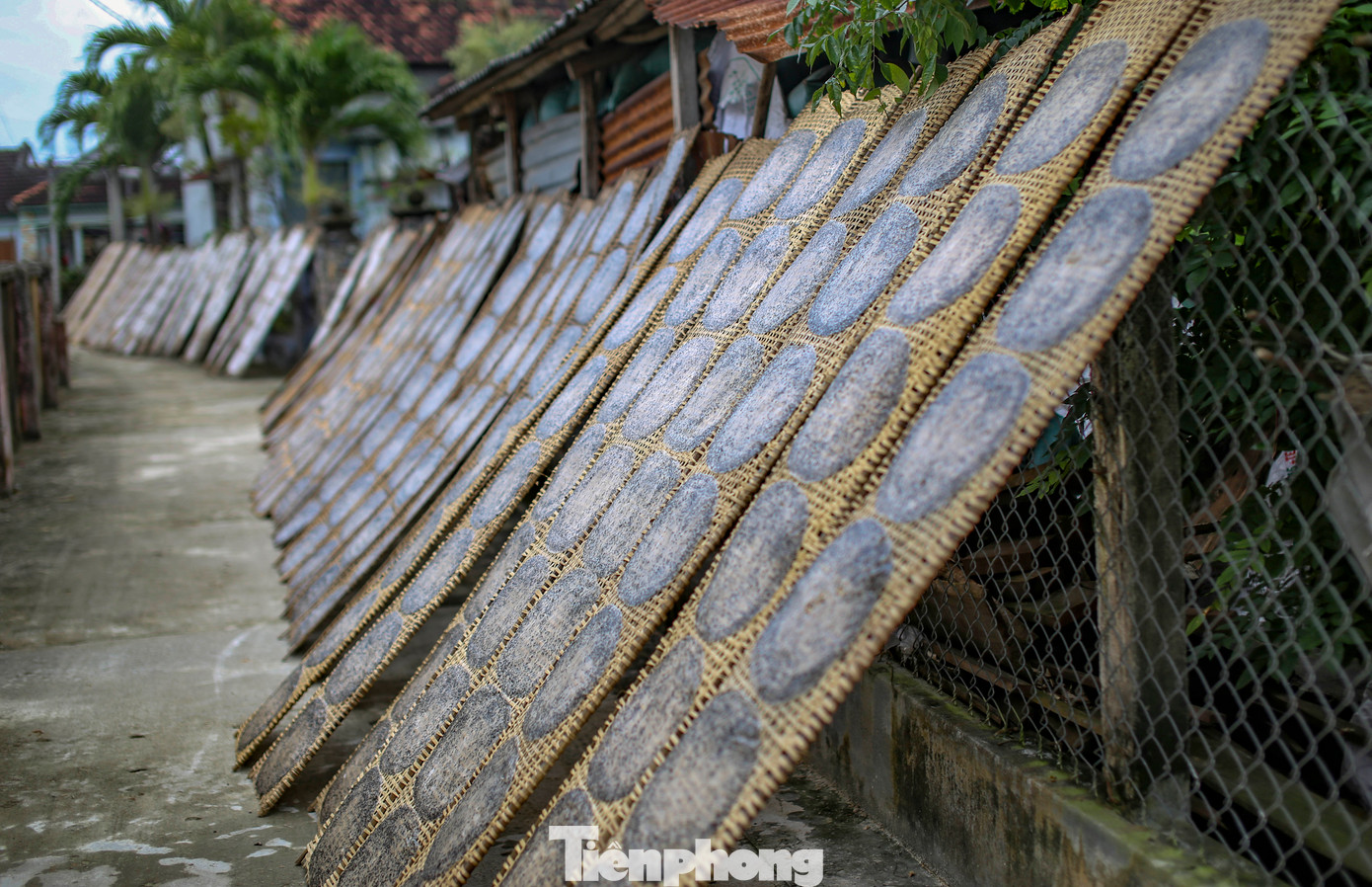 Bánh tráng Trường Cửu từ xưa đến nay làm bằng loại gạo dẻo thơm, được người tiêu dùng ưa chuộng. Vào ngày Tết, bánh tráng với người miền Trung là món không thể thiếu trên bàn thờ cúng, hay trên bàn ăn. Ảnh: Trương Định