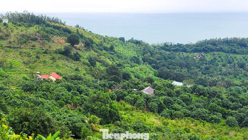 Những công trình kiên cố len lỏi trong đất rừng. Ảnh: Trương Định