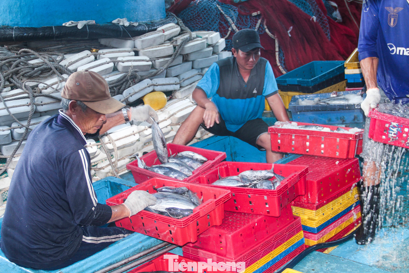 Ngư dân Bình Định thường đi đánh bắt ở khắp tất cả các ngư trường trong toàn quốc (chiếm tỷ lệ khoảng 40%) nên luôn duy trì bám biển sản xuất và tìm kiếm được nhiều ngư trường mới. Ảnh: Trương Định