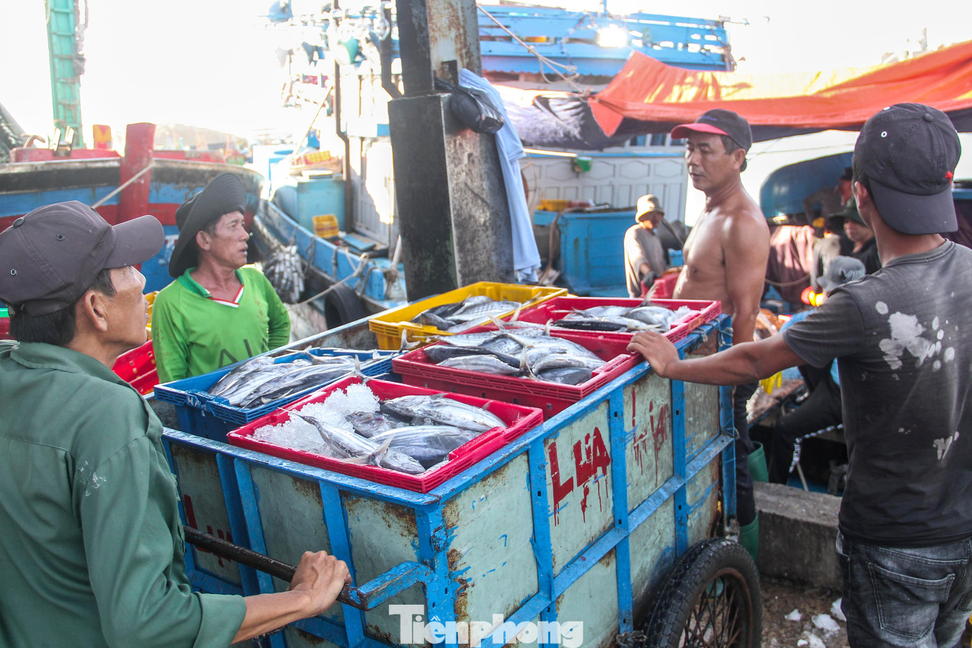 Nguyên nhân của việc tàu thuyền đánh bắt giảm là do giá nhiên liệu ở mức cao và một số tàu cá đã làm đủ hỗ trợ chi phí nhiên liệu trong năm 2022 nên không tham gia hoạt động khai thác. Ảnh: Trương Định