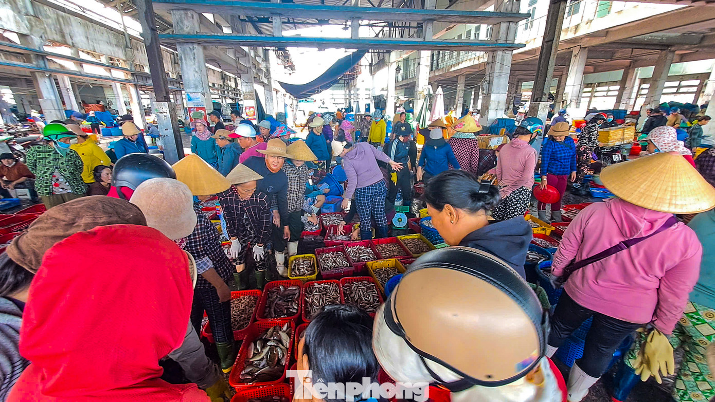 Không khí nhộn nhịp tại cảng cá Quy Nhơn. Ảnh: Trương Định