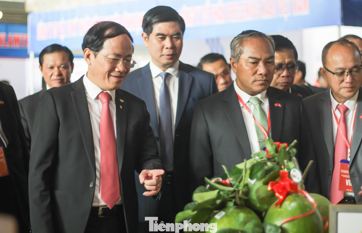 Chủ tịch UBND tỉnh Bình Định Phạm Anh Tuấn giới thiệu các sản phẩm OCOP của tỉnh. Ảnh: Trương Định