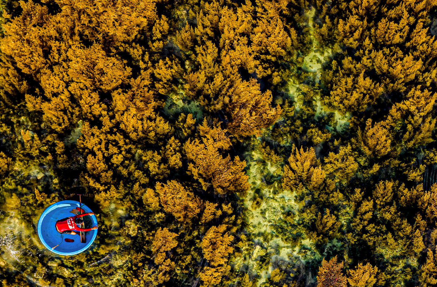 Ông Nguyễn Ngọc Nam, Phó Chủ tịch UBND xã Nhơn Hải cho biết, vùng biển của xã có 12,8ha được khoanh vùng để bảo vệ. Mục đích để bảo tồn các loài thủy sản ven bờ. Ngoài việc quản lý, bảo vệ thì cũng có các hoạt động du lịch gắn với hệ sinh thái này. Theo đó, tùy vào quy định cụ thể từng vùng (vùng đệm và vùng lõi) mà du khách có thể trải nghiệm các hoạt động như lặn ngắm san hô bằng kính, tắm biển, chèo sup,…