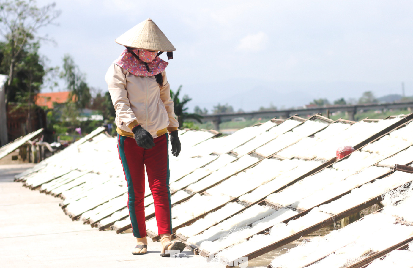 “Nghề này thì làm quanh năm, nắng ngày nào thì làm ngày đó, làm để dự trữ. Nhưng bắt đầu tháng Chạp là phải tăng công suất để có hàng bán ra thị trường. Đợt vừa rồi cũng do mưa quá nên cũng không có hàng để bán”, ông Tâm cho hay.