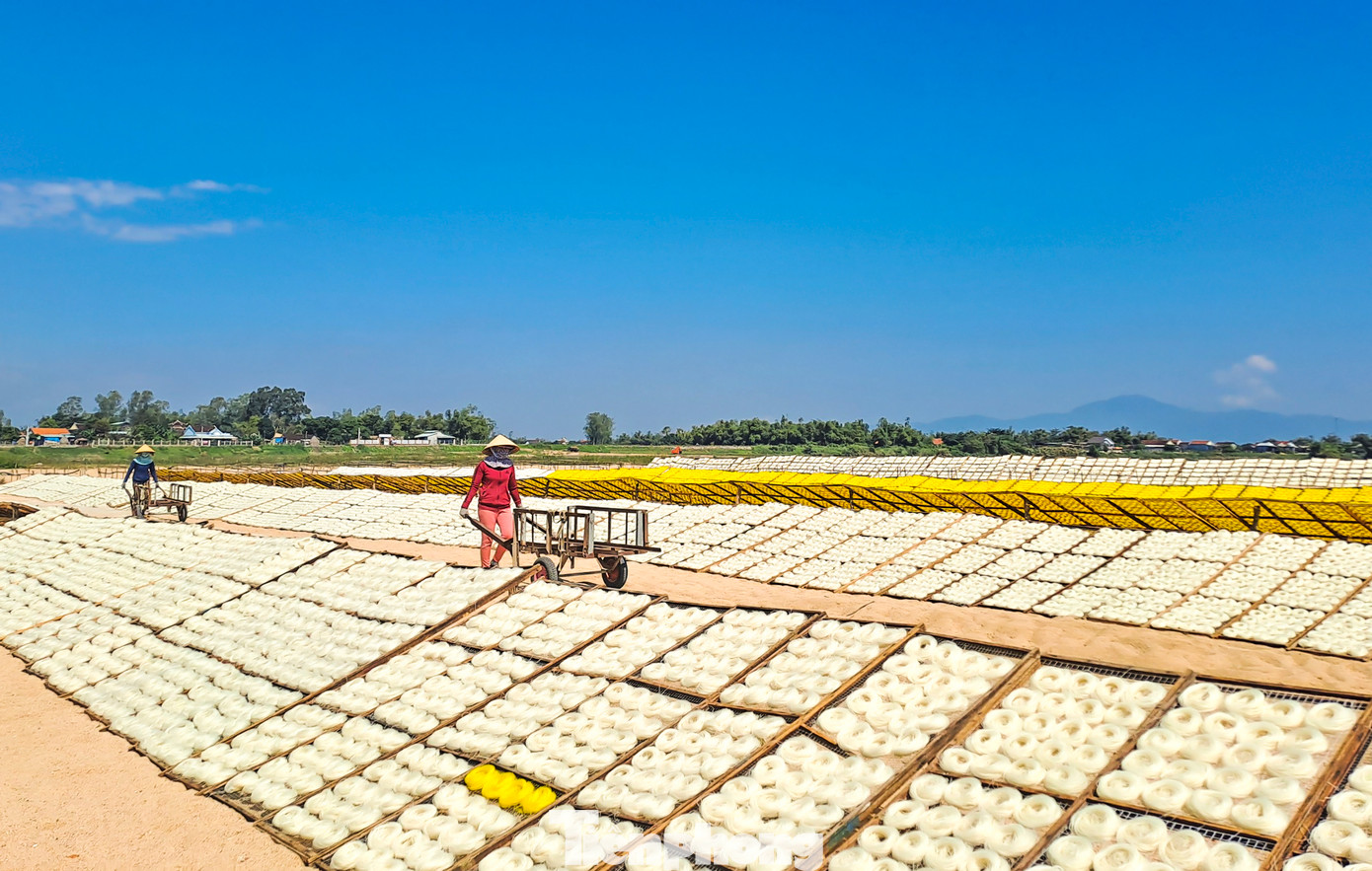 Làng nghề bún - bánh An Thái hiện có khoảng 60 cơ sở, hộ gia đình sản xuất và cung cấp đa dạng các sản phẩm bánh - bún như bánh tráng các loại, bún song thằn, bún gạo, bún mì vàng, bún phở… Sản phẩm bánh - bún An Thái không chỉ phục vụ người tiêu dùng tại địa phương, trong tỉnh Bình Định mà còn được khách hàng trên cả nước ưa chuộng, đặc biệt là khu vực miền Trung và Tây Nguyên (Ảnh: Trương Định).