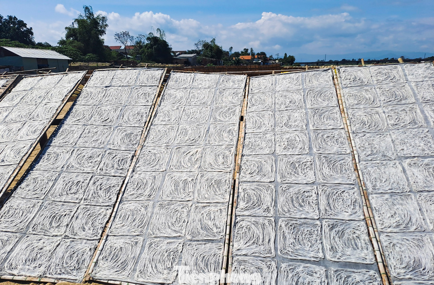 Ông Võ Văn Tâm (70 tuổi, xã Nhơn Phúc, TX An Nhơn, Bình Định) cho hay, hằng ngày bắt đầu từ 23 giờ 30 là phải dậy hoàn thiện các công đoạn để chuẩn bị sơ chế bún. Theo ông cho biết, để làm ra 1kg bún song thằn thì phải tốn 1,2kg bột đậu xanh. Nếu trời nắng thì bình quân mỗi ngày gia đình sản xuất được hơn 1 tạ bún. Vào vụ Tết ngoài nhân công trong nhà, gia đình phải thuê thêm người để phụ giúp. Hiện bún song thằn được ông bỏ sỉ cho bạn hàng là 200.000 đồng/kg. (Ảnh: Trương Định).