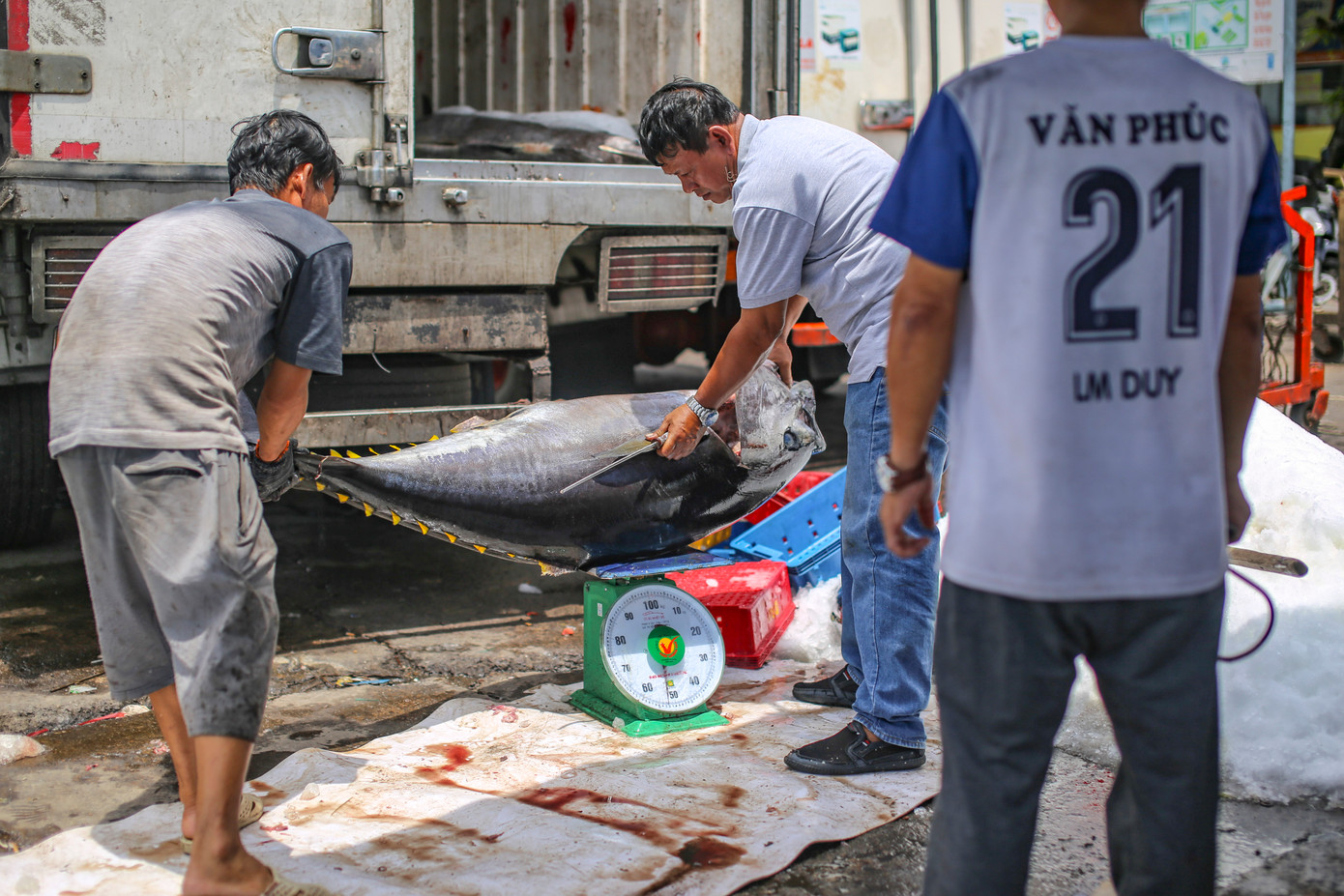 Hiện, giá cá ngừ sọc dưa được thương lái thu mua từ 22.000 - 25.000 đồng/kg, giá cá ngừ đại dương dao động khoảng từ 95.000 - 120.000 đồng/kg.