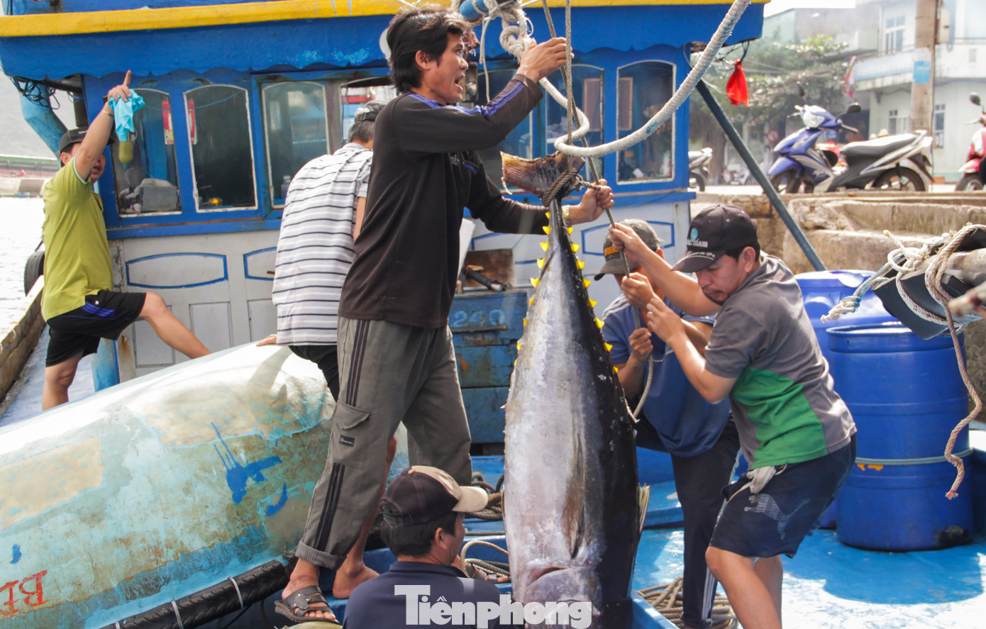 Vừa cập cảng Quy Nhơn trong sáng 3/2 để xuất bán cá trong chuyến đánh bắt xuyên Tết, ông Huỳnh Văn Chiêm (52 tuổi, phường Hoài Hương, TX Hoài Nhơn, Bình Định) chủ tàu BĐ 96433 TS cho biết, chuyến biển này đi gặp gió lớn nên tàu đánh bắt không được thuận lợi. So với chuyến biển xuyên Tết năm ngoái thì năm nay không đạt. Ảnh: Trương Định