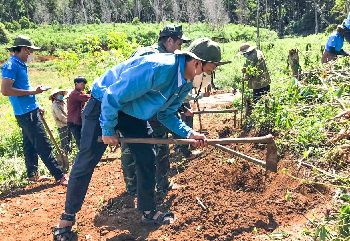 Phát quang đường đi. Phát quang đường đi.