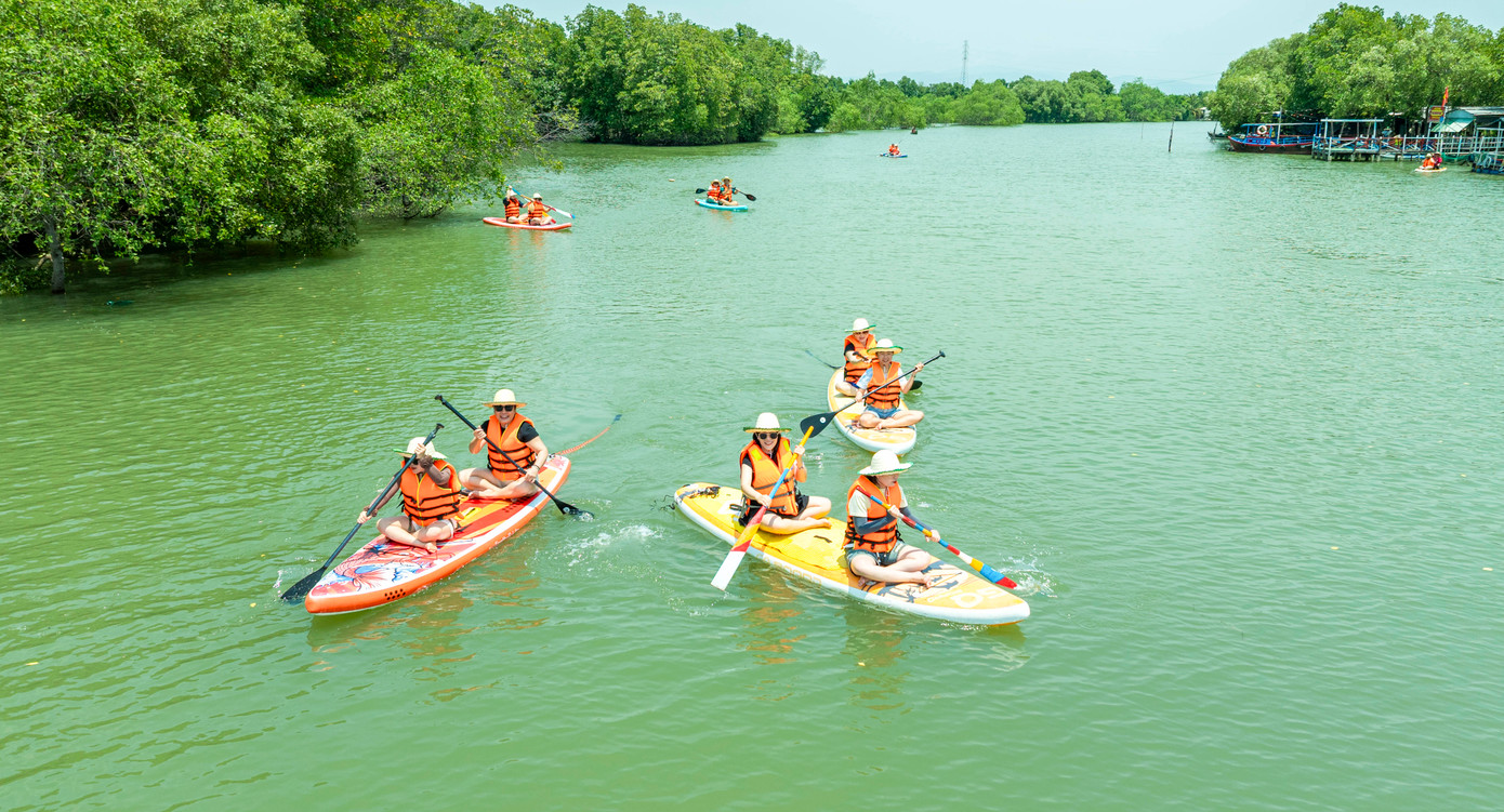 Du khách trải nghiệm chèo Sup ngắm Cồn Chim, khám phá rừng ngập mặn.