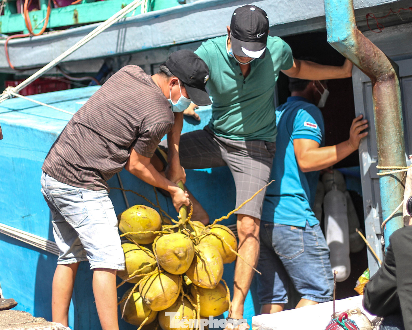 Những buồng dừa được ngư dân mang theo trong chuyến đi biển xuyên Tết.