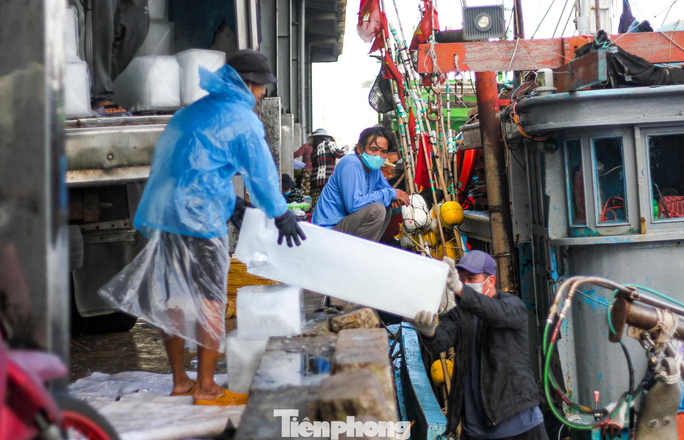 Chuyển đá lạnh xuống tàu.