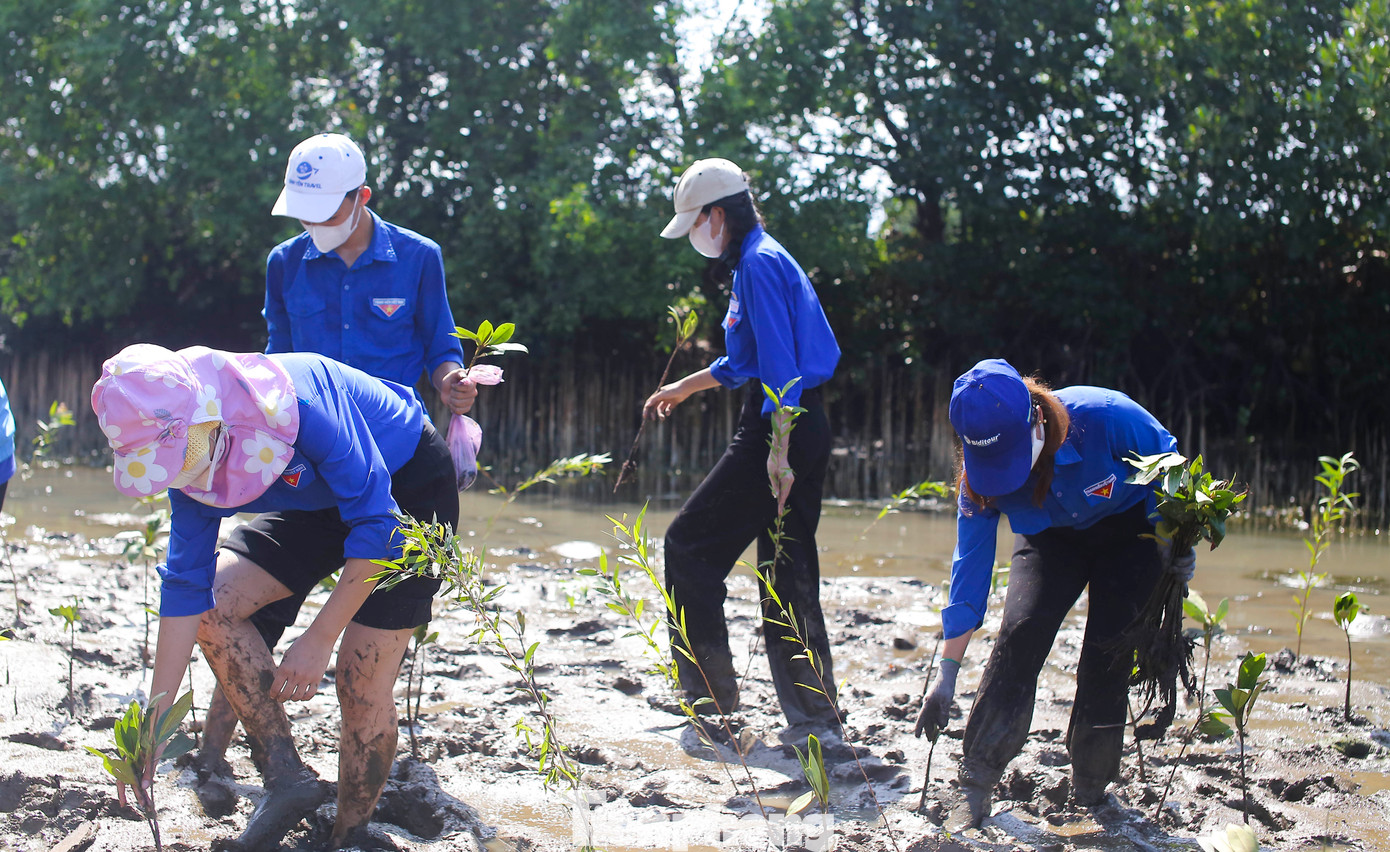 Thanh niên trồng cây tại Cồn Chim. Ảnh: Trương Định
