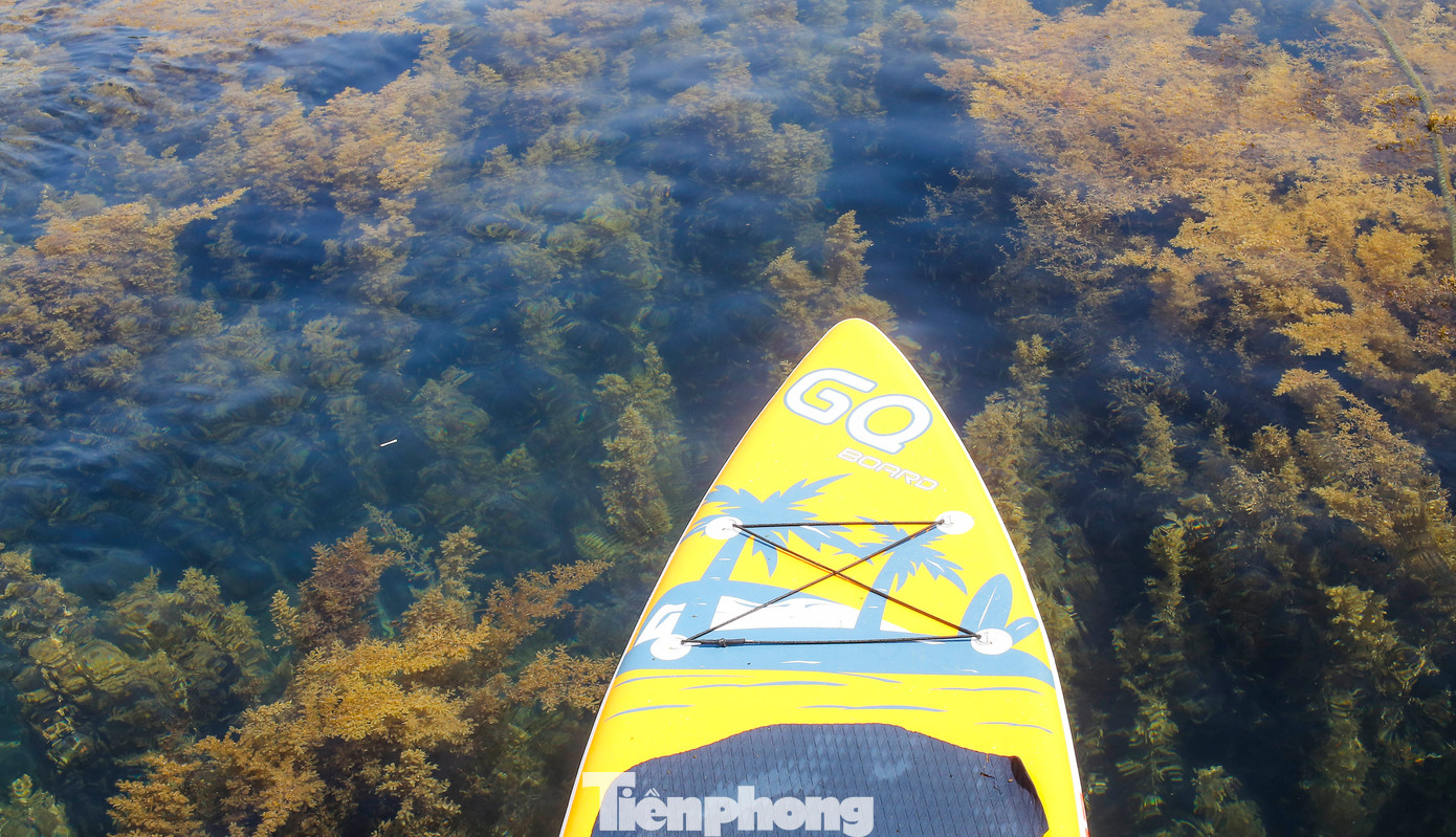 Hiện nay, xã Nhơn Hải tiến hành khoanh vùng để bảo vệ, mục đích để bảo tồn các loài thủy sản ven bờ. Ngoài việc quản lý, bảo vệ còn có các hoạt động du lịch gắn với hệ sinh thái này. Tùy vào quy định cụ thể từng vùng (vùng đệm và vùng lõi) mà du khách có thể trải nghiệm các hoạt động như lặn ngắm san hô bằng kính, tắm biển, chèo sup… Ảnh: Trương Định.