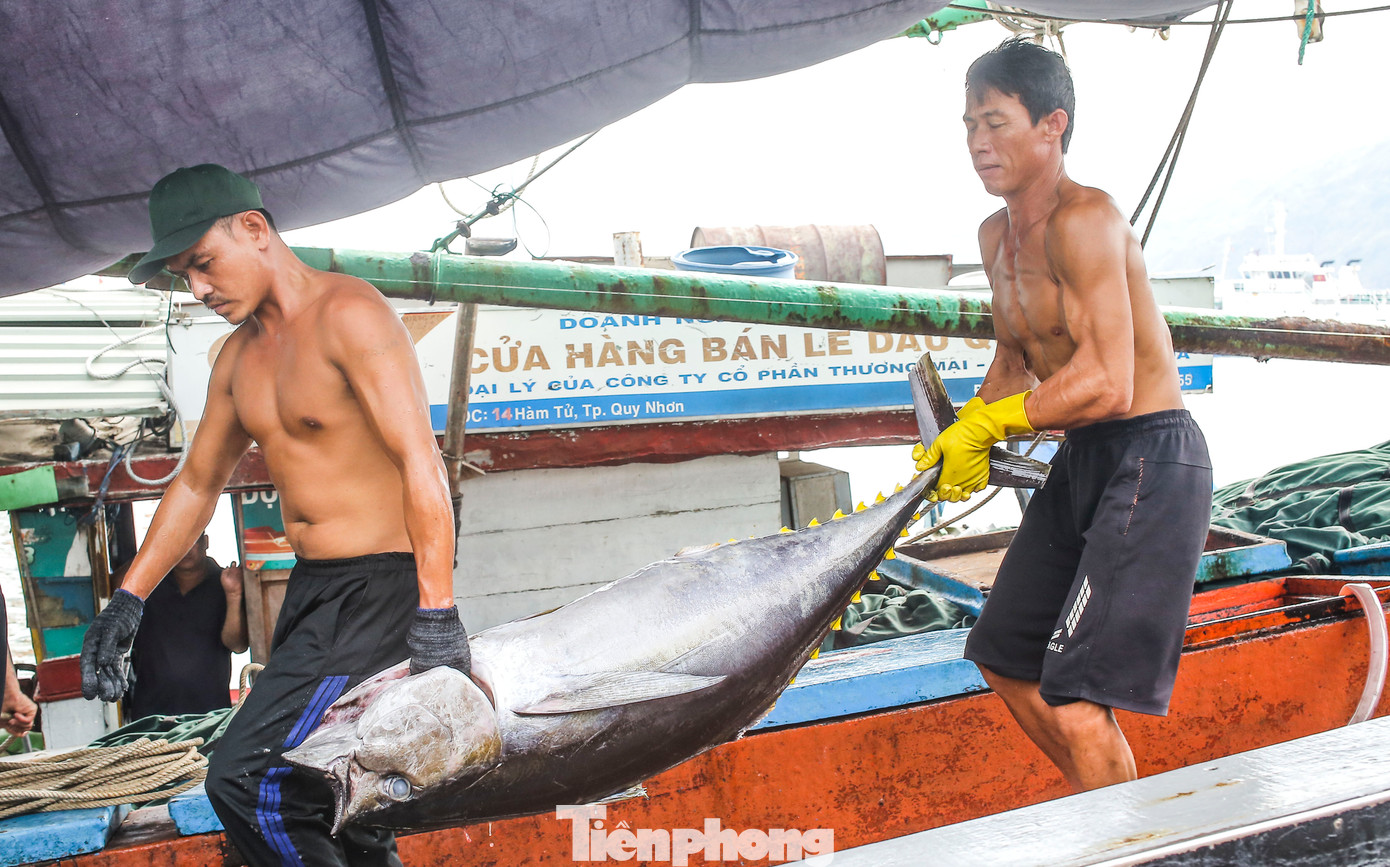 Ngư dân đưa cá lên bờ để cân bán cho thương lái. Ảnh: Trương Định.