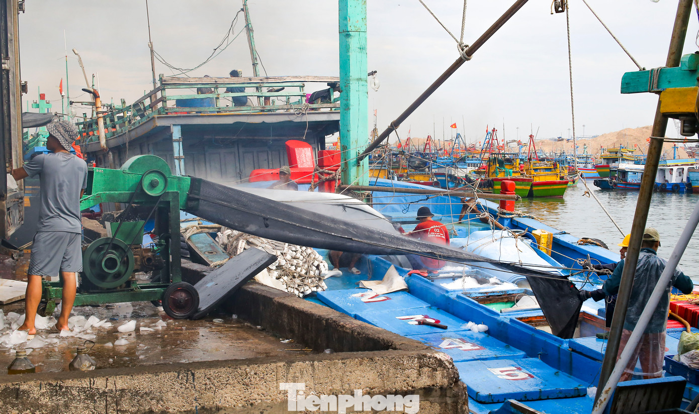 Ngư dân chuẩn bị đá lạnh, lương thực để vươn khơi đánh bắt chuyến biển mới. Ảnh: Trương Định