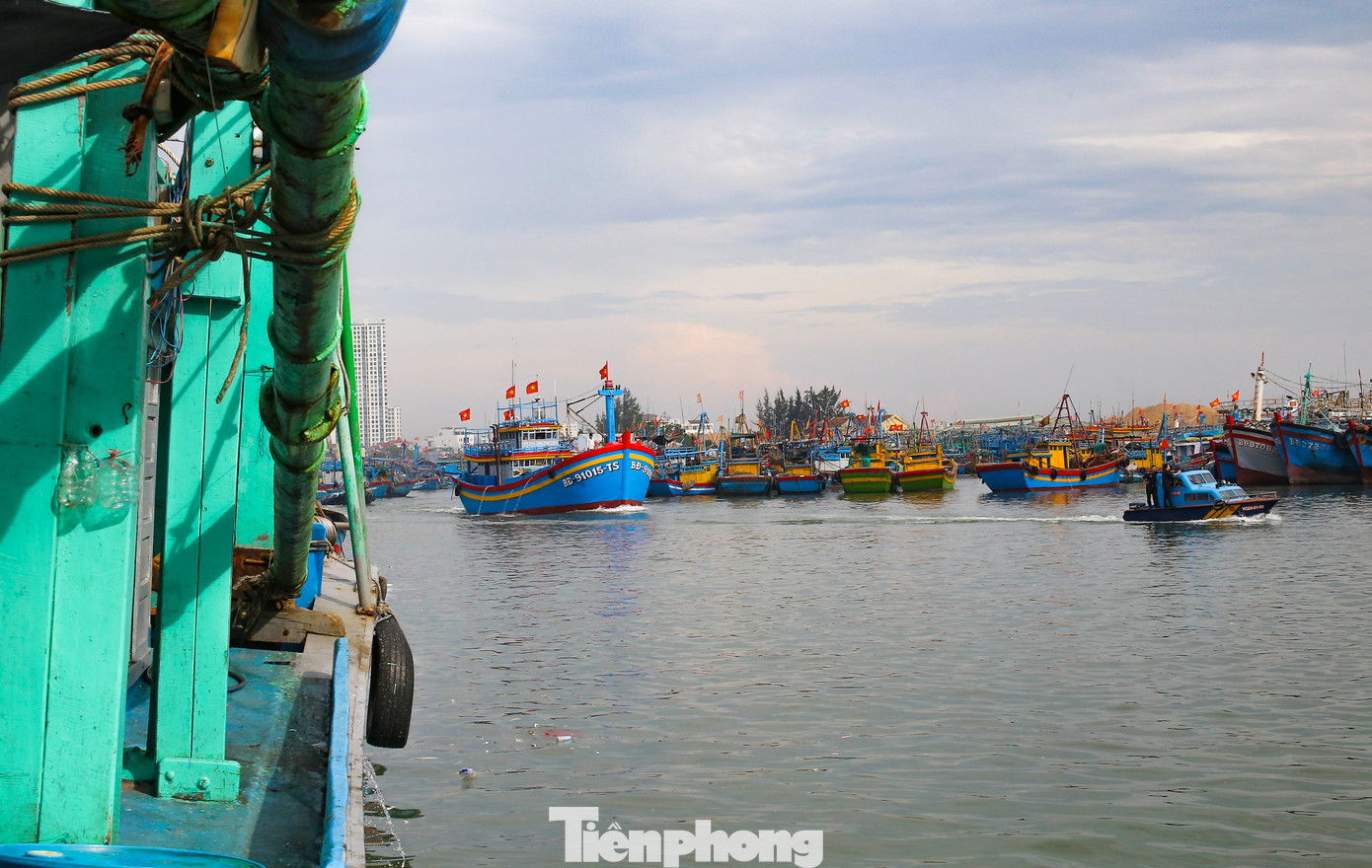 Tàu thuyền của ngư dân neo đậu tại Cảng cá Quy Nhơn. Ảnh: Trương Định.